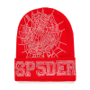 Sp5der Web Beanie Red